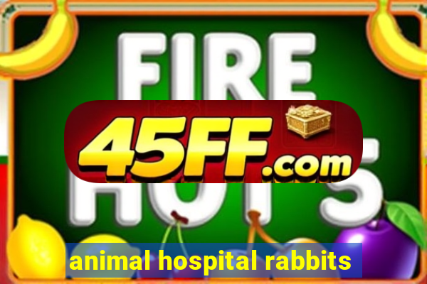 animal hospital rabbits